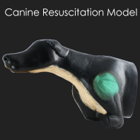 Canine Resuscitation Model